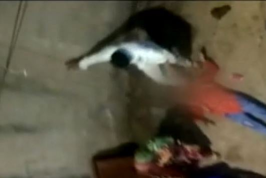 Kanpur horror: Out on bail, molesters of teen girl thrash her mother to death 