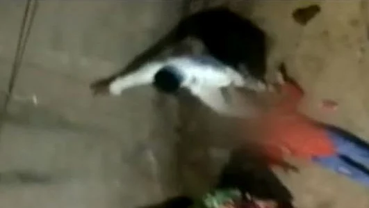 Screenshot from the video&nbsp;