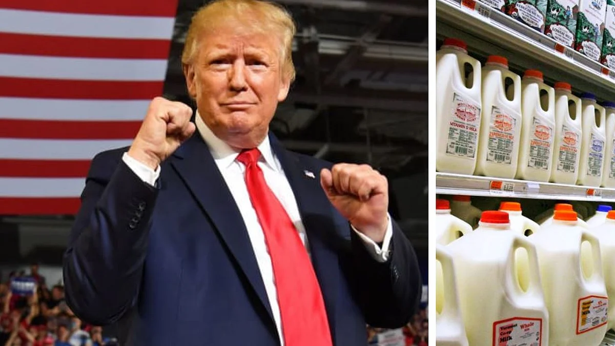 RSS affiliate Swadeshi Jagran Manch warns against ‘non-veg’ milk ahead of  US President Trump visit 