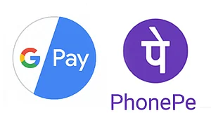 Zero UPI interchange, PSP fees may hurt PhonePe, Google Pay