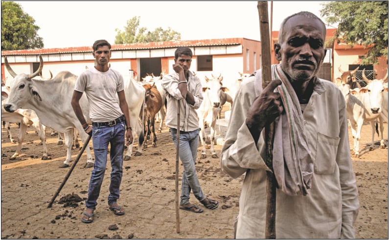 ‘My Son’s Inheritance’: The roots of the gauraksha movement