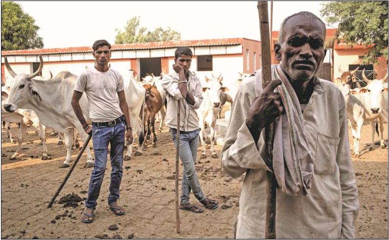 ‘My Son’s Inheritance’: The roots of the gauraksha movement