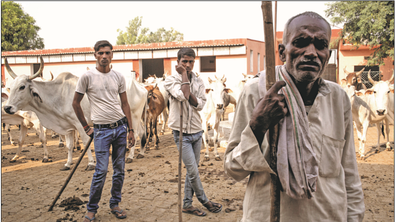 ‘My Son’s Inheritance’: The roots of the gauraksha movement