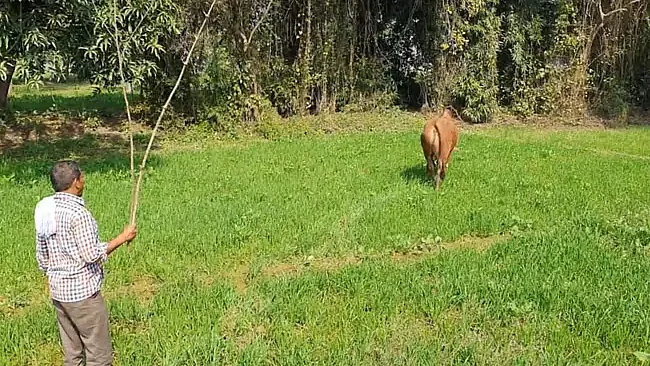 Photo Courtesy: Twitter