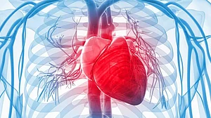 Risk of heart disease due to irregular sleeping habits: Study