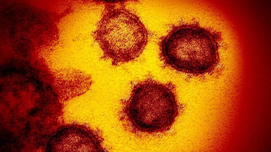 How long is the coronavirus incubation period?