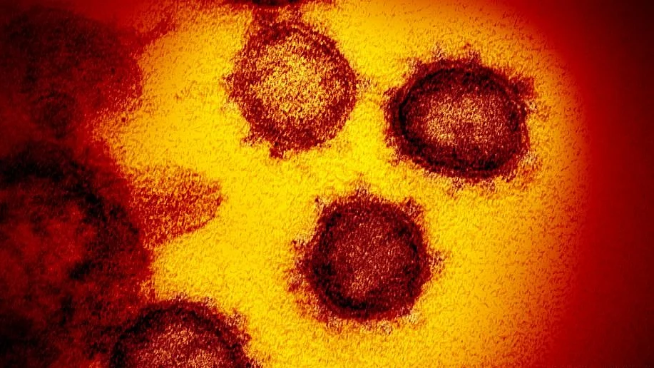 How long is the coronavirus incubation period?