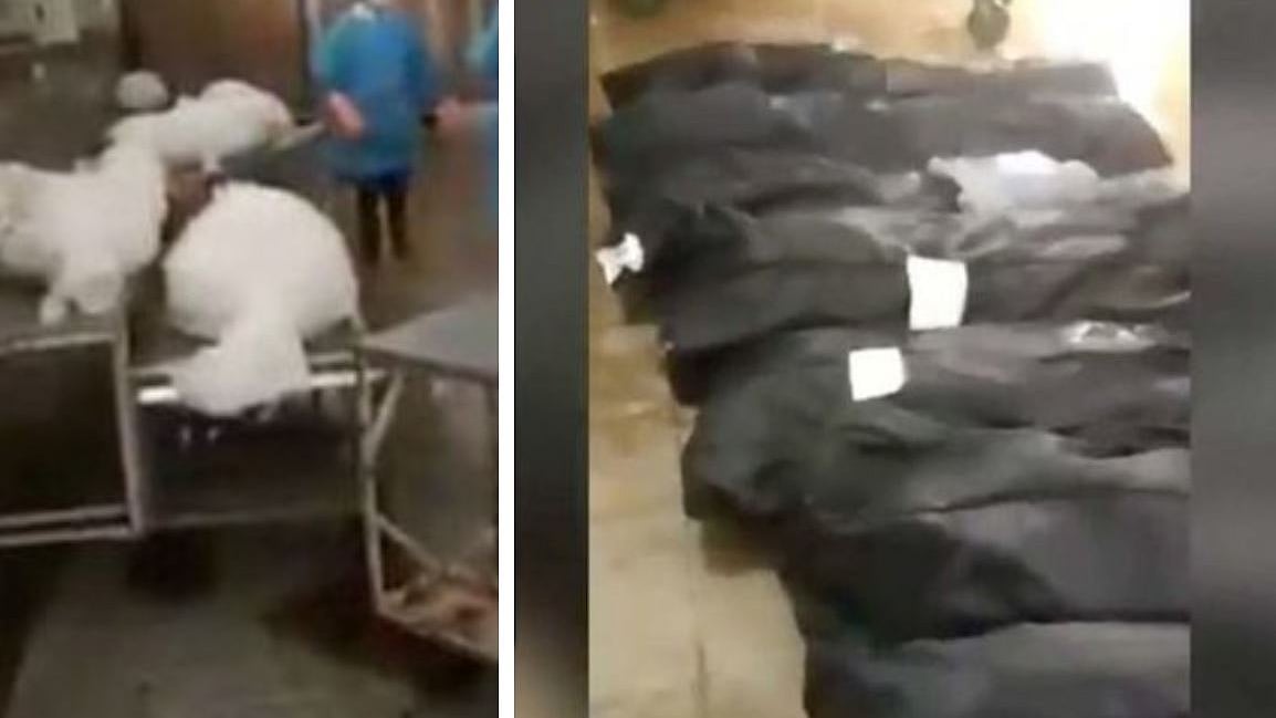 WATCH: Video shows body bags of COVID-19 victims in Iran