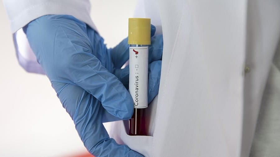 Drugs from antibodies of Covid-19 survivors