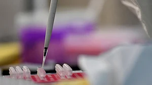 Chinese researchers identify neutralising antibodies against COVID-19 identified