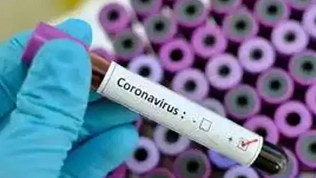 Researchers develop fast, accurate, low-cost COVID-19 test