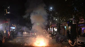 Amid severe air pollution, RSS affiliate Swadeshi Jagran Manch objects to firecracker ban, cites SC order