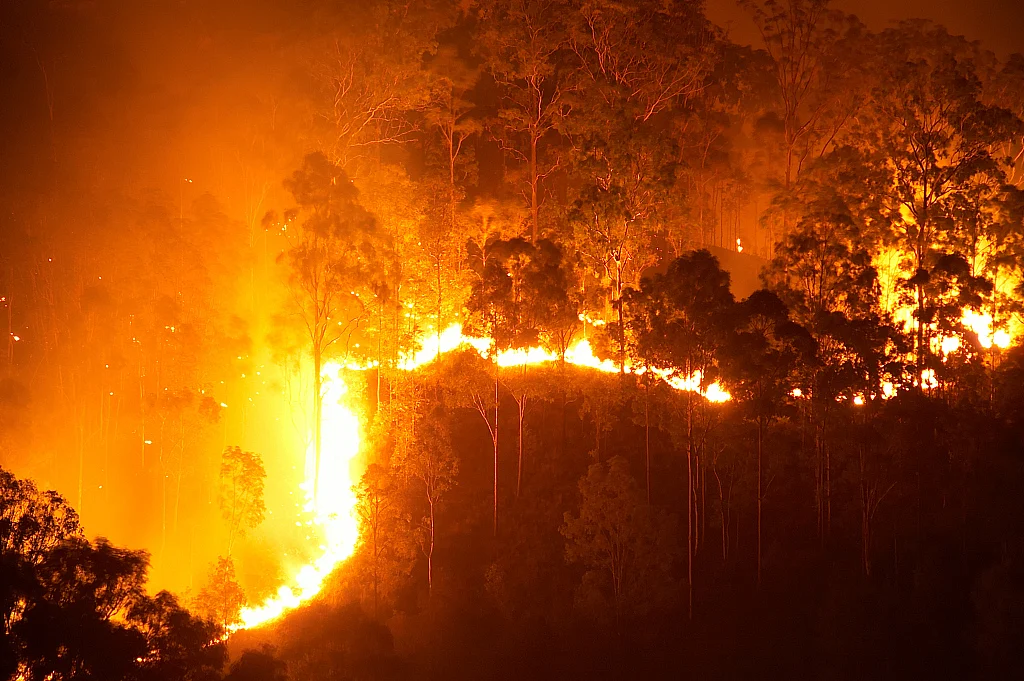 Hope in the time of Coronavirus: Time to take steps against climate change 