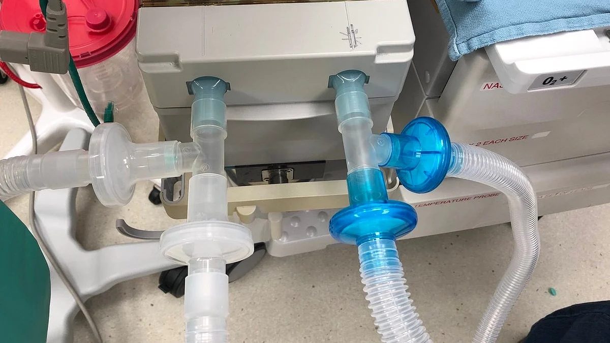 Photo Courtesy: IANS