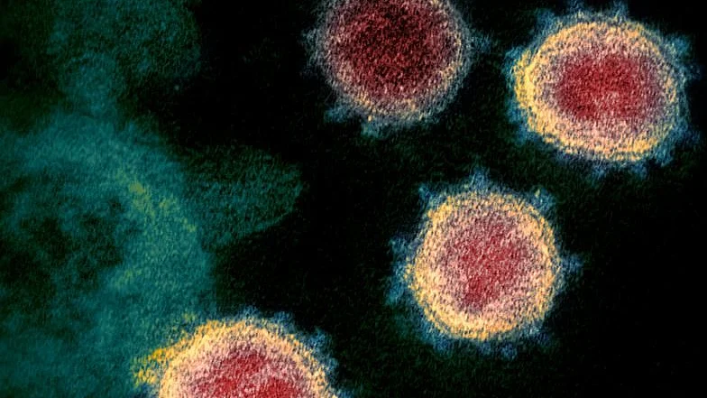 Representative Image (Photo Courtesy: social media)