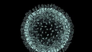 Penguin releases e-book on coronavirus’ evolution and myths