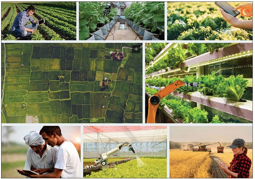  IT professionals as ‘Agripreneurs’: Smart farming for the smart set 