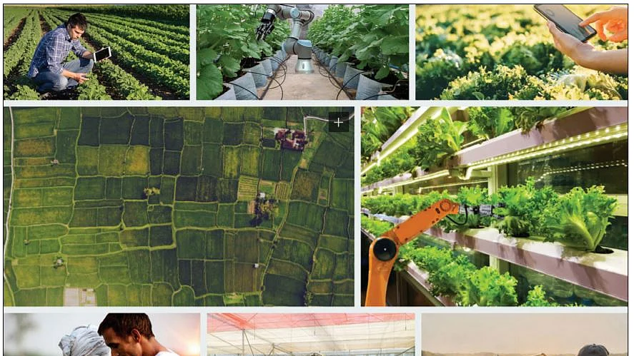  IT professionals as ‘Agripreneurs’: Smart farming for the smart set 