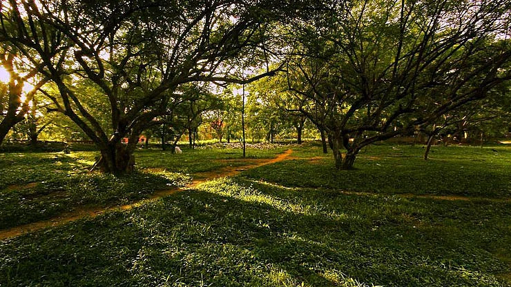 Representative Image (Photo Courtesy: social media)