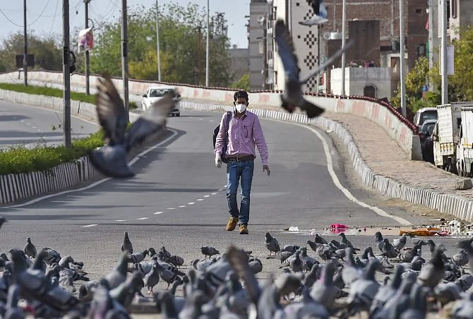 How to live with the virus and fight it: the way ahead