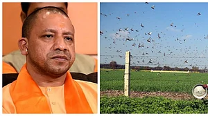 Now, UP CM Yogi Adityanath says beat ‘thalis’ to drive away locusts