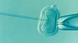 Depression and anxiety: Leading causes of IVF failure in women