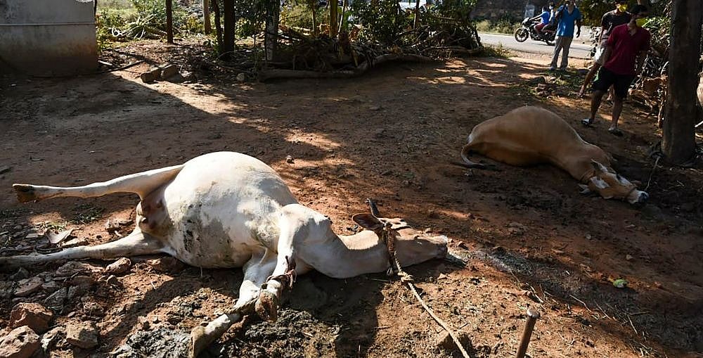 Photo Courtesy: Twitter/AFP