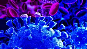 Herd Immunity against COVID-19 likely to develop in August: Safdarjung Hospital MS