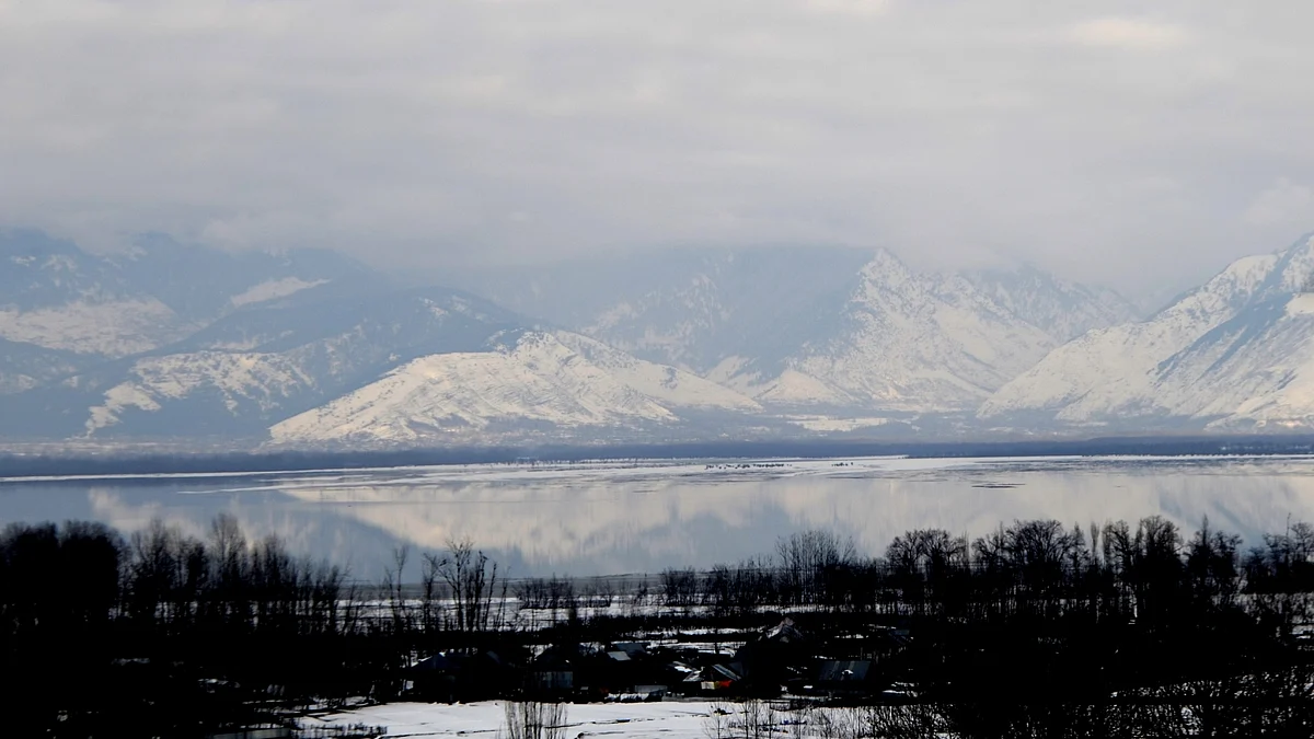 Representative image