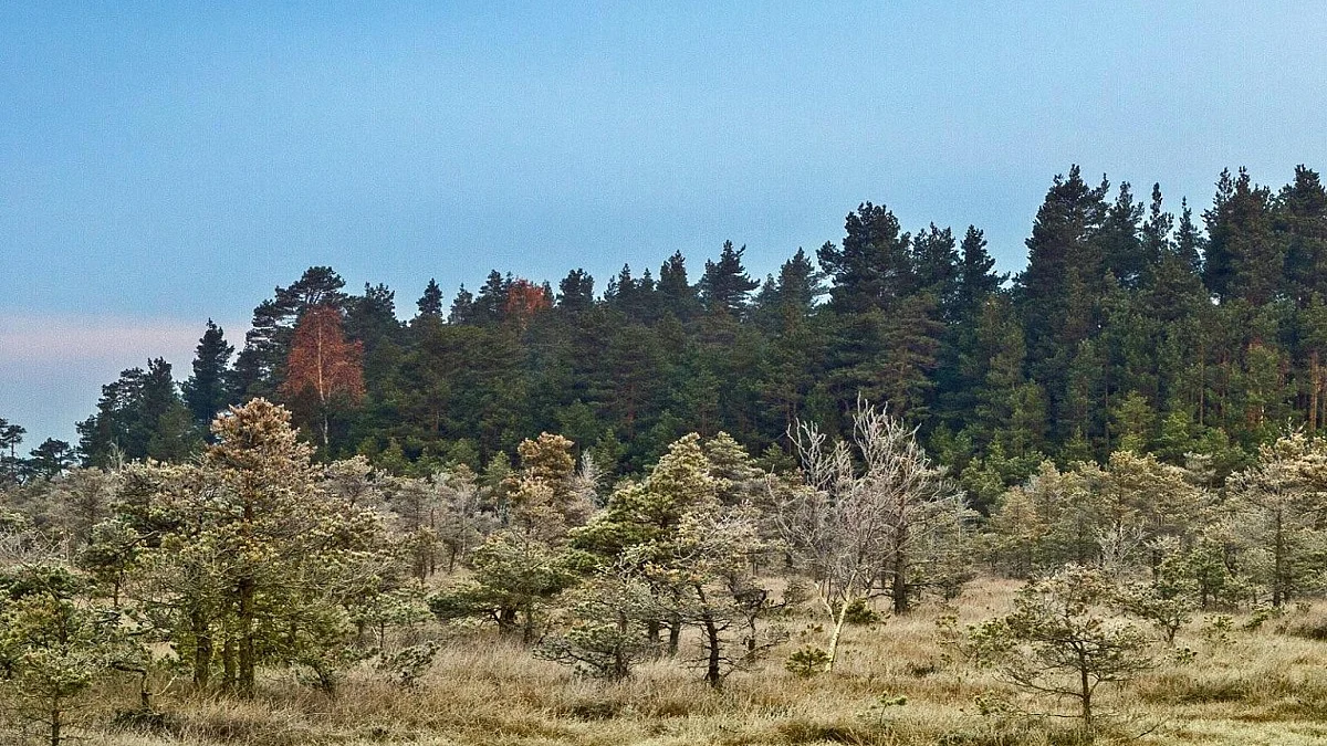 Representative Image (Photo Courtesy: social media )