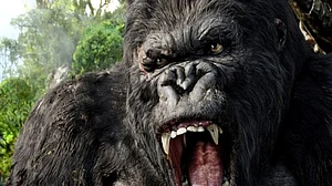 Representative Image (Photo Courtesy: social media)