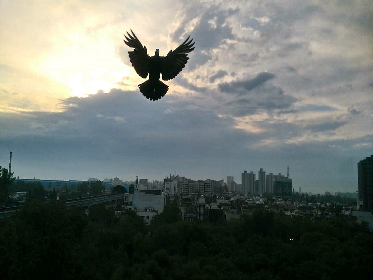 Lockdown Pastime: Photographing the sunrise every morning and being surprised every day