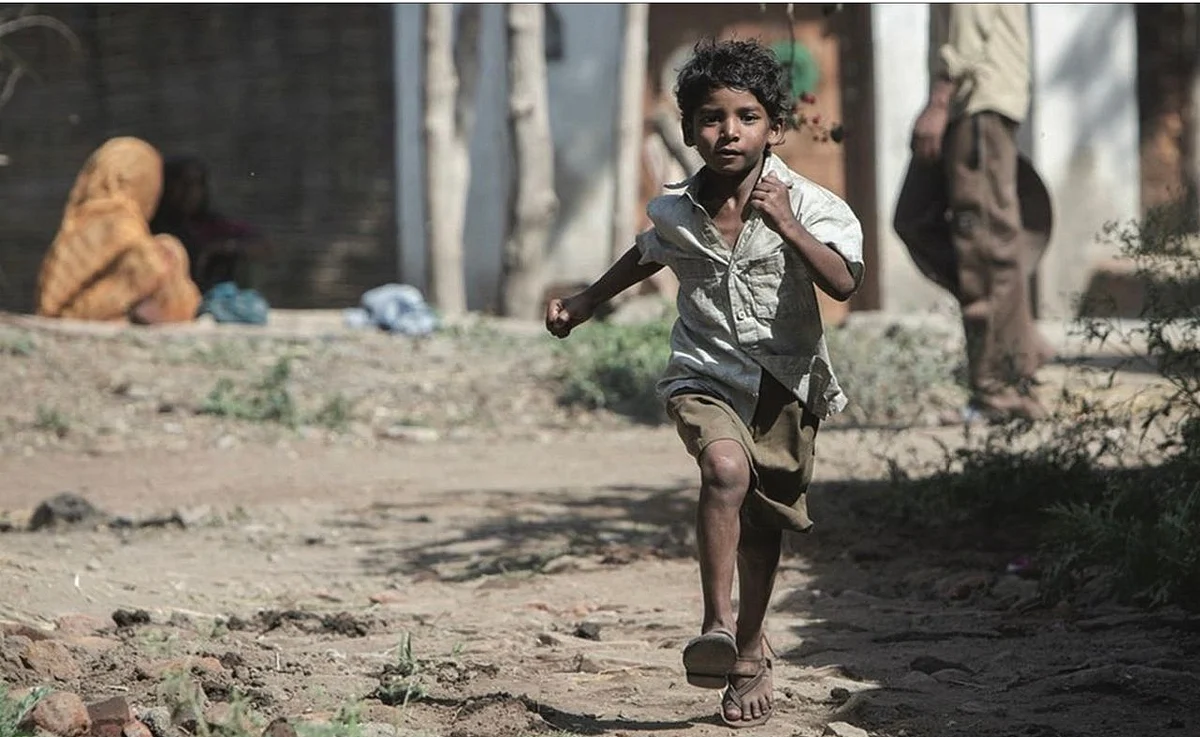 Chippa review: A night in Kolkata 