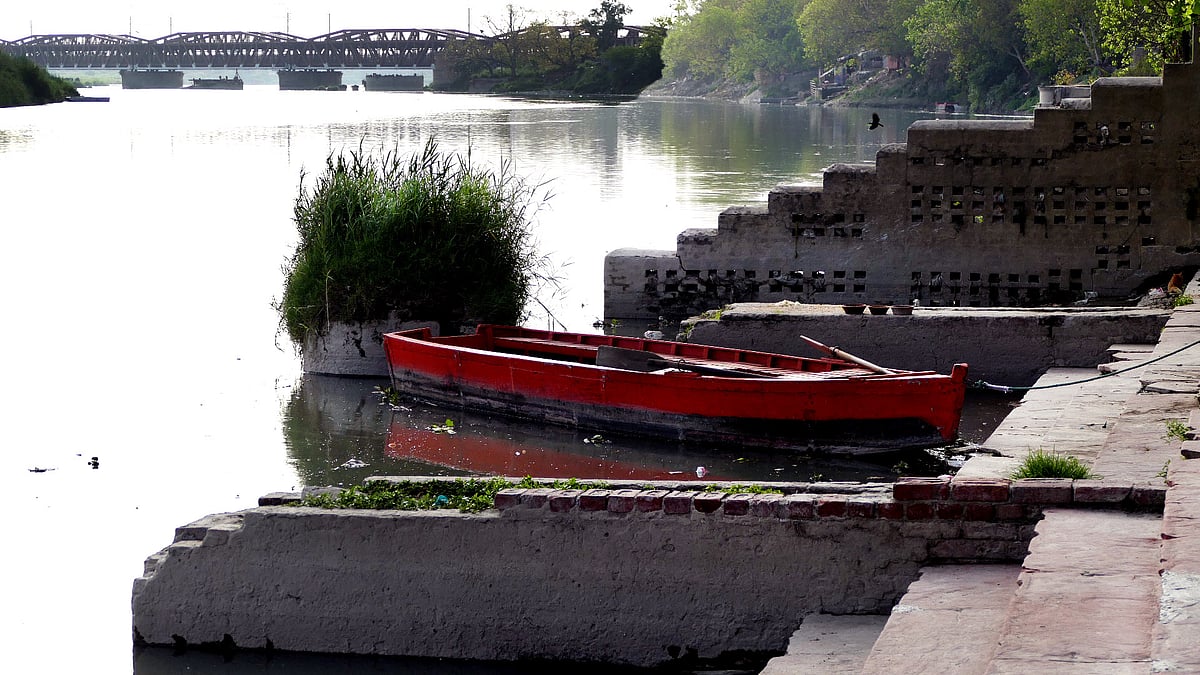 Unwanted grass at Yamuna (NH Photo by Pramod Pushkarna)&nbsp;