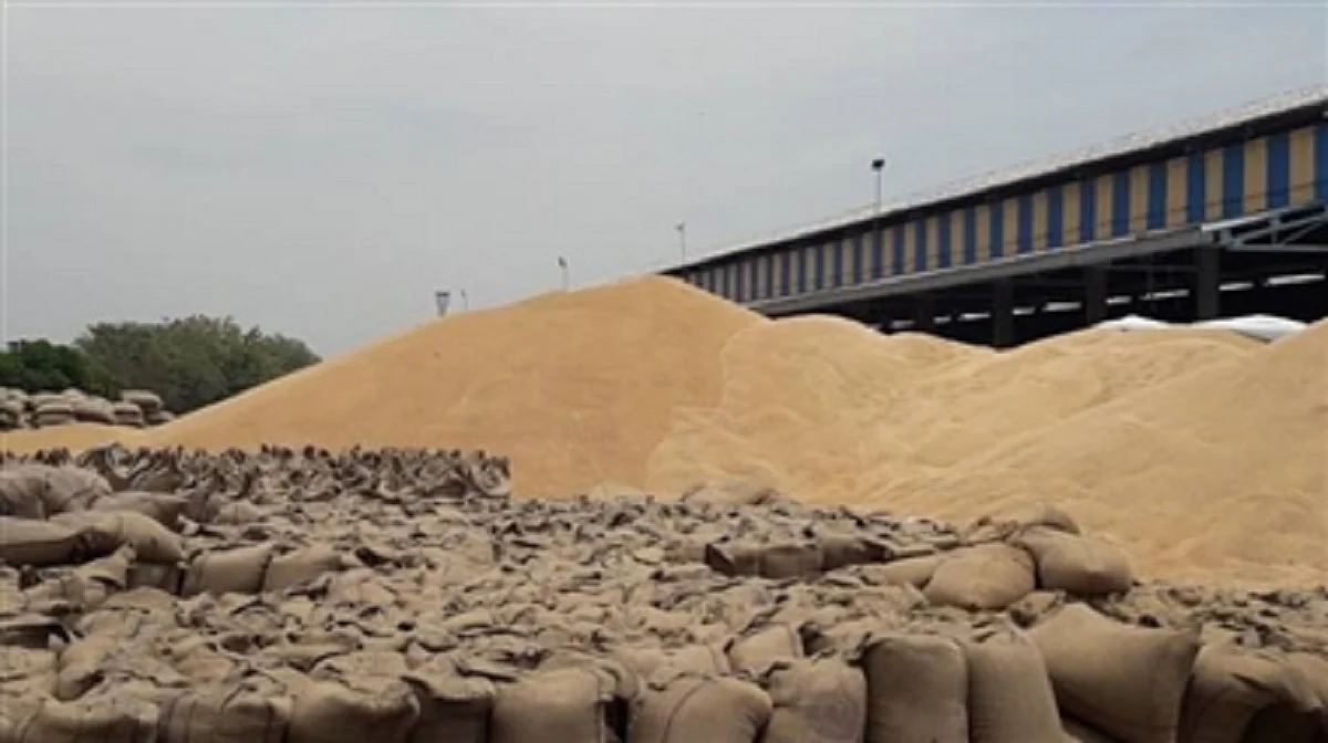 Centre’s ordinance to ‘ease’ agriculture trading will hit Punjab’s revenues hard