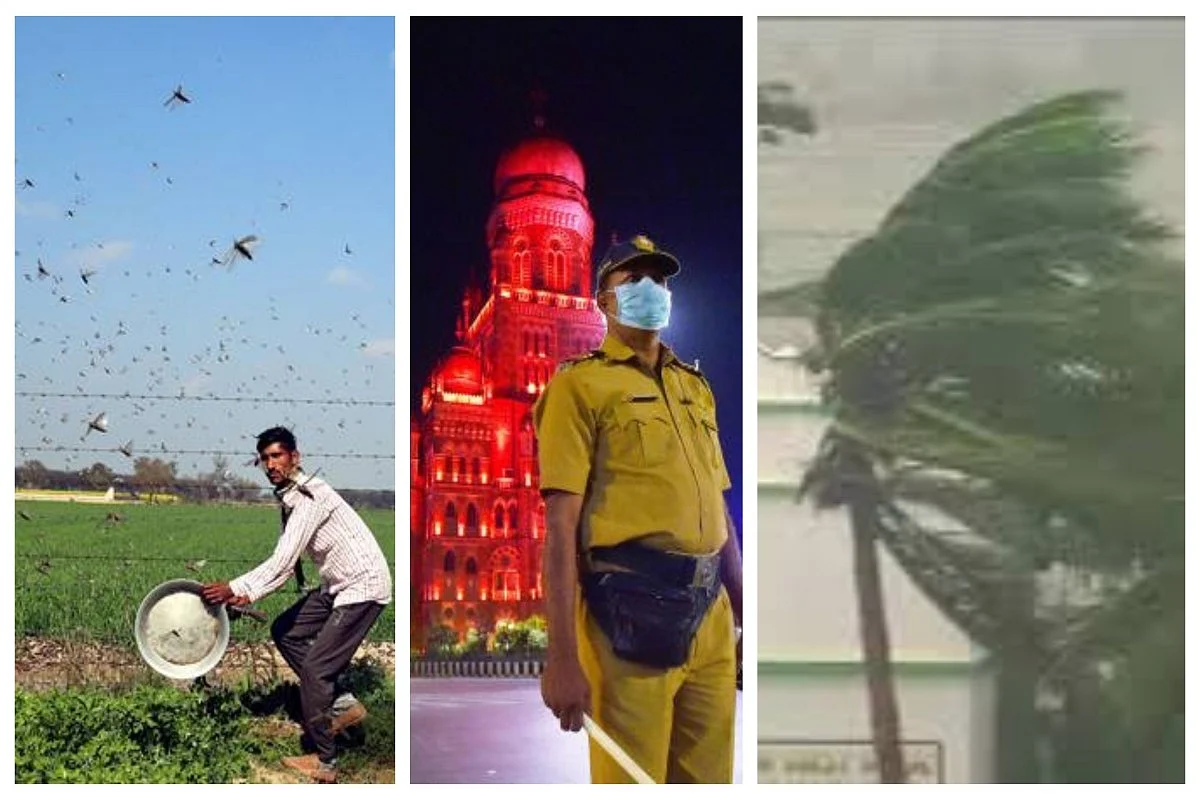 The connection between coronavirus, cyclones and the attack by locusts 