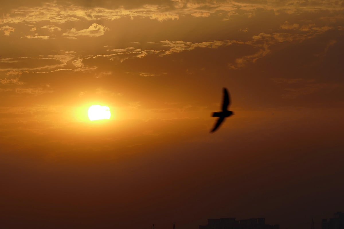 Photo courtesy-Pramod Pushkarna