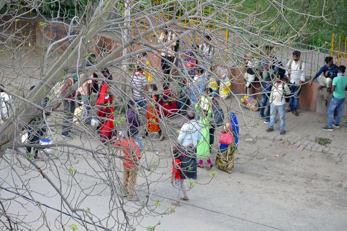 Environment Day: A look at it through bare branches of&nbsp; a tree (NH Photo by Pramod Pushkarna)&nbsp;
