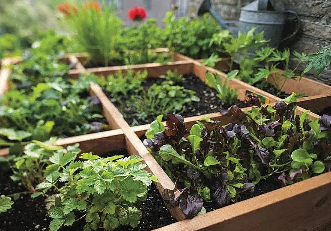 Army Sahayaks, the garrulous guardians