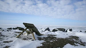 Apocalyptic! The Arctic is on fire at record 38 degrees Celsius; Siberian heat wave alarms scientists