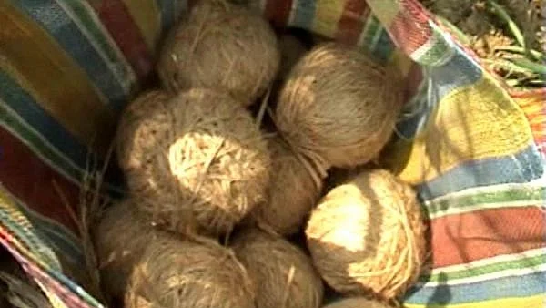 Seven bombs found in Bikru village in police search