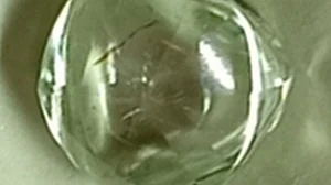 Photo: Sundeep Pouranik/IANS