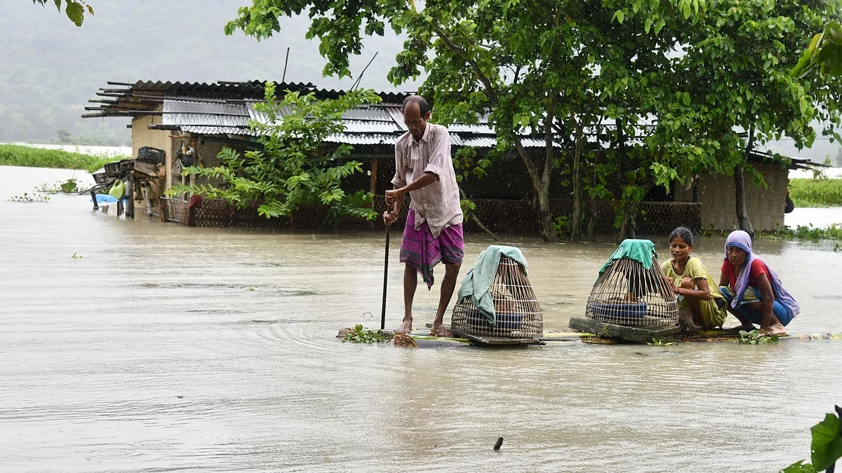 (representative photo)