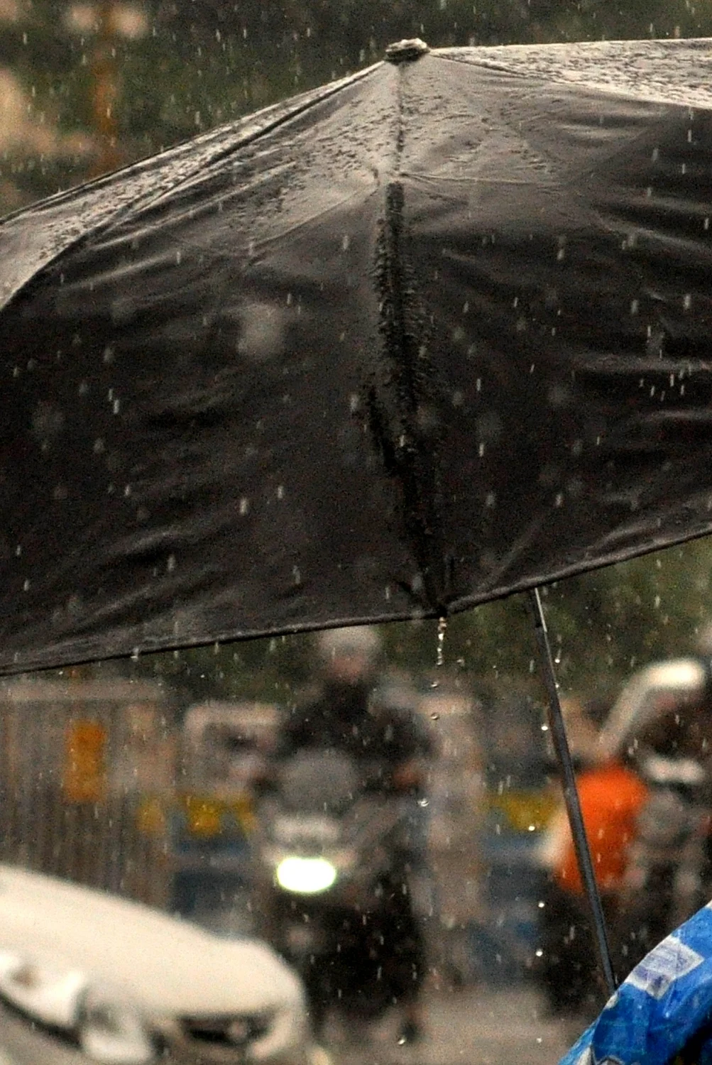 As rains pound Kerala, water panel rules out 2018, 2019 repeat