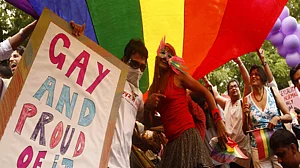 ‘The Pink Line’ combines memoir and in-depth study on gay rights