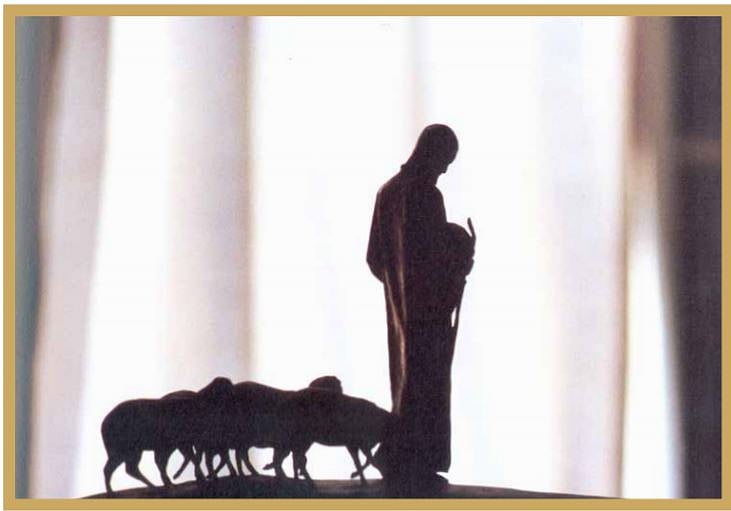  Remembering Rajiv Gandhi: A selection of  photos taken by him show how he loved photography