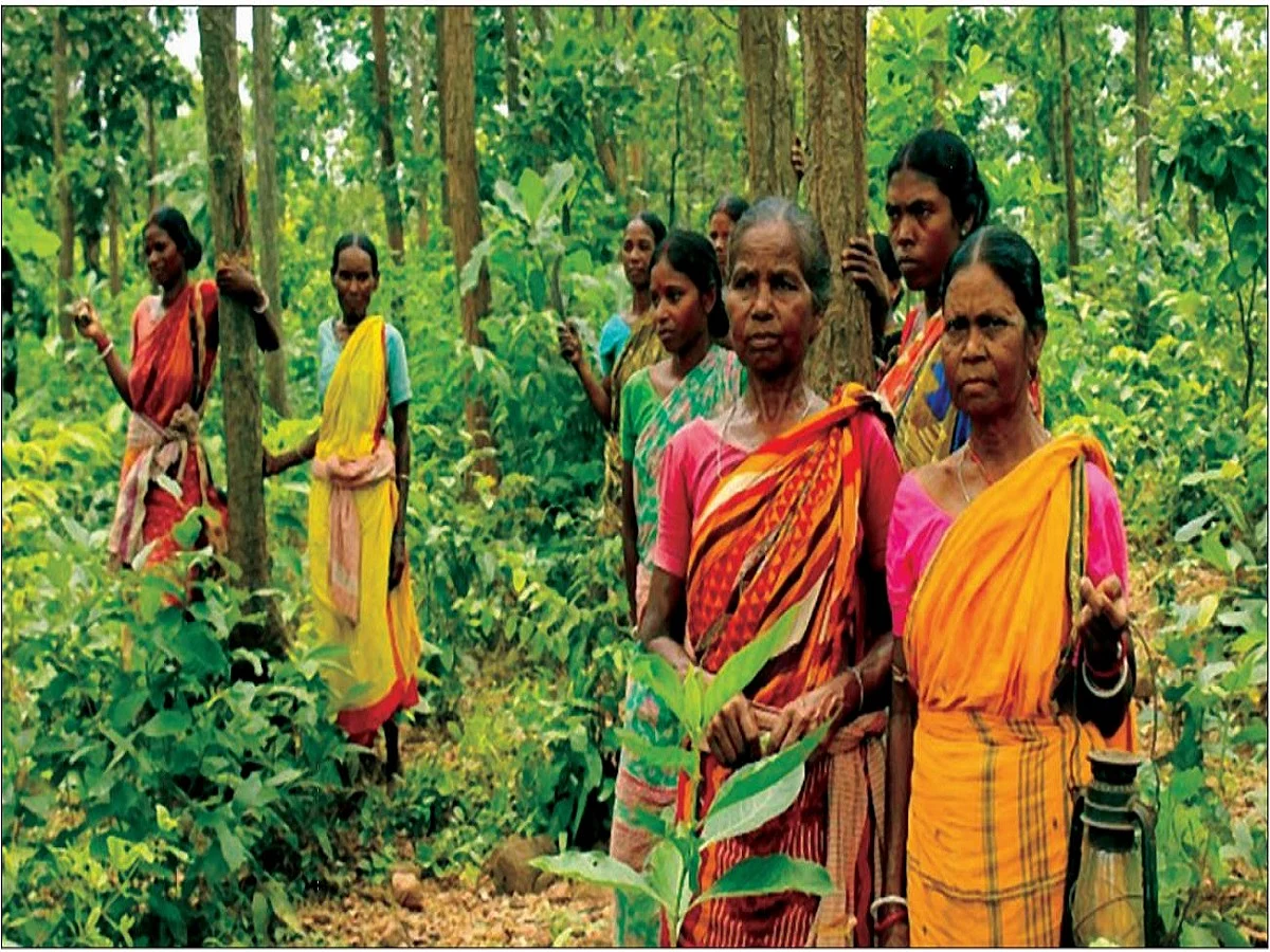  Squeezing the juice out of ‘Democracy’