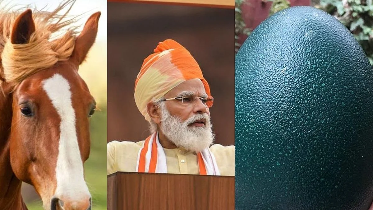 This Government’s touching faith in serving us ‘horse’s eggs’