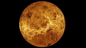 Astronomers spot possible marker of life on Venus