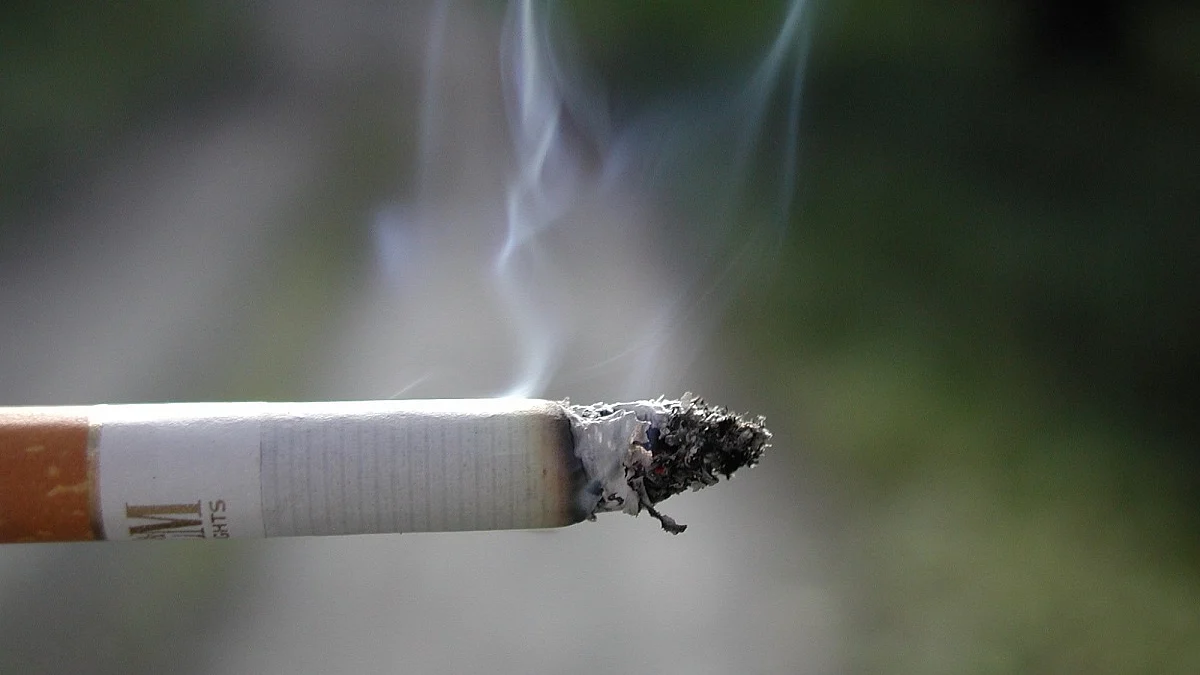 Representative Image (Photo Courtesy: IANS)